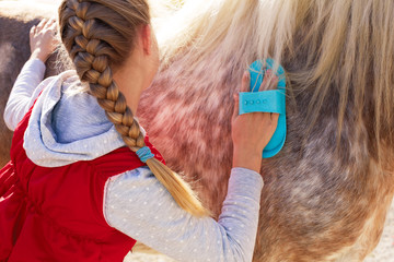 Girl grooming horse  in the outdoors.