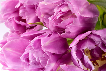 Bouqet of pink tulip flowers, close up.