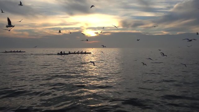 Crew Rowing Boats is a stock video that contains an extreme long shot of two boats sailing on the ocean at sunset. A flock of seagulls can be seen flying over the ocean in slow motion video.