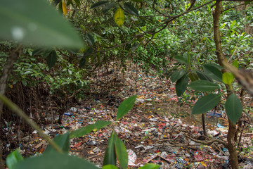 Huge Dump in Tropical Mangrove Tree Forest. Plastic Waste Rubbish Floating on Lake Water Surface. Environmental Pollution Ecological Problem Concept. Bali, Indonesia.