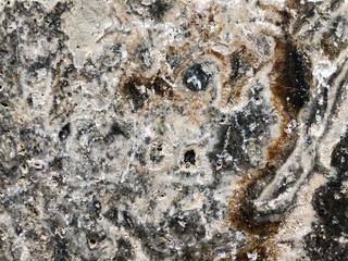 Texture of granite background. Granite Texture White Base with Brown Gray Spots