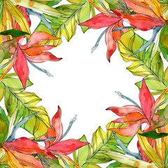 Tropical floral botanical flowers. Watercolor background illustration set. Frame border ornament square.