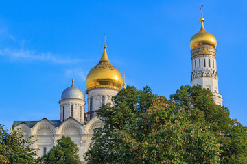 Fototapeta na wymiar Domes of Cathedral of the Archangel and Ivan the Great Bell-Tower on Moscow Kremlin territory against blue sky and green trees in sunny early morning