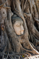 A stone head of Buddha in Wat Prha Mahathat Temple