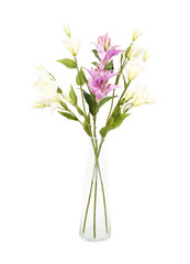 Flower in a vase