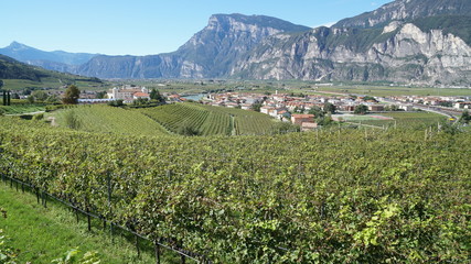 SAN MICHELE ALL'ADIGE - PIANA ROTALIANA - TRENTINO