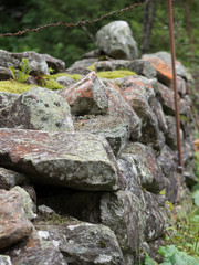 Stone fence pasture