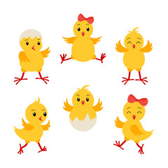 Collection cartoon chikens for easter design. Cute chick character set.