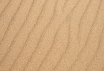 Fototapeta na wymiar sand and desert background, top view