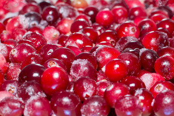 Lots of frozen cranberries. background, texture of berries. Abstract background for design or project.