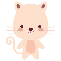 cute and little cat character