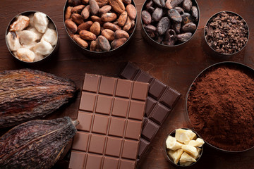 Cocoa beans, pods, cocoa powder and chocolate bar pieces