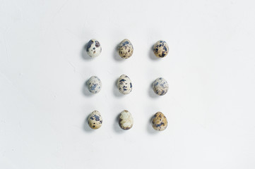Quail egg. White background, top view, space for text