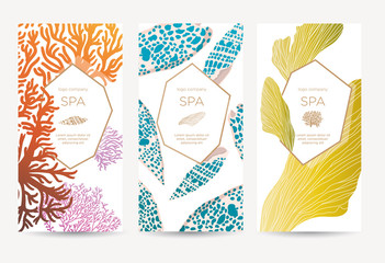  Banner template for special offers for organic shop, beauty salon, spa and seafood restaurant. Gift card or certificate with sea shells, algae and corals. Vector illustration