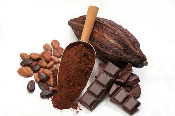 Cocoa beans pods, chocolate bar pieces, cocoa powder in a scoop isolated on white background