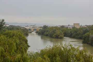 Fototapeta premium Roman bridge over the Guadalquivir and Mesquite in Cordoba.
