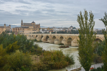Fototapeta premium Roman bridge over the Guadalquivir and Mesquite in Cordoba.