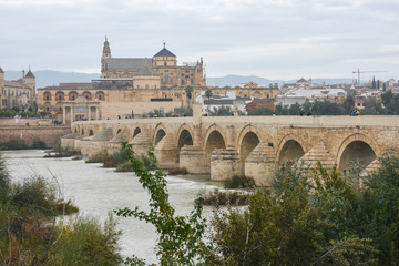 Fototapeta premium Roman bridge over the Guadalquivir and Mesquite in Cordoba.
