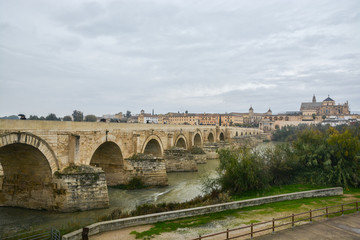 Fototapeta na wymiar Roman bridge over the Guadalquivir and Mesquite in Cordoba.