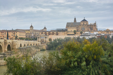Fototapeta na wymiar Roman bridge over the Guadalquivir and Mesquite in Cordoba.