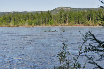 Landscape with the river and the mountains.