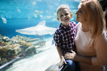Mother and son watching sea life in oceanarium
