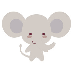 cute and little elephant character