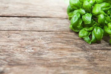 basilic sur fond de bois