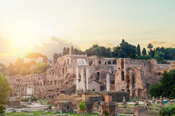 Rome, Italy. Roman ruins, Forum. Rome landmark