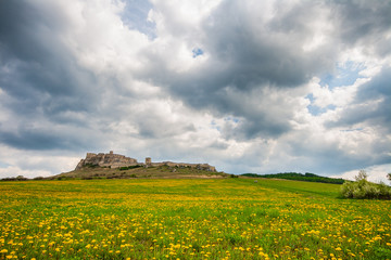 Stormy cloouds over the Spis Castle, wide angle panorama with field of yellow flowers