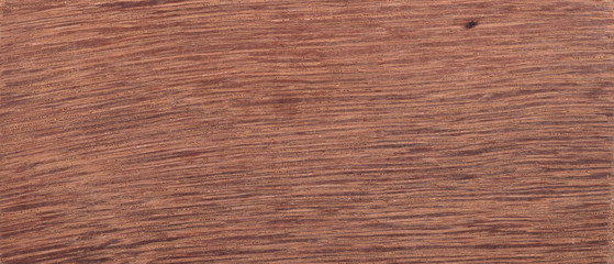 Wood from the tropical rainforest - Suriname - Diplotropis purpurrea amsh