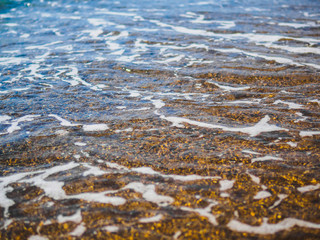 Transparent sea wave with sea foam