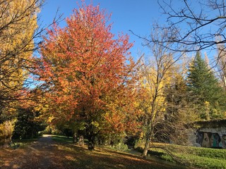 I colori dell'autunno ai giardini