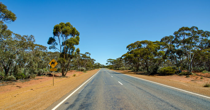 Camel warning sign by a Road in the outback, Western Australia, Australia