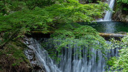 Hyogo Prefecture Nunobiki　兵庫県布引の滝２