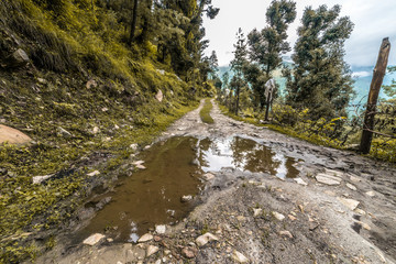 Muddy road leading into the distant rural landscape with plants