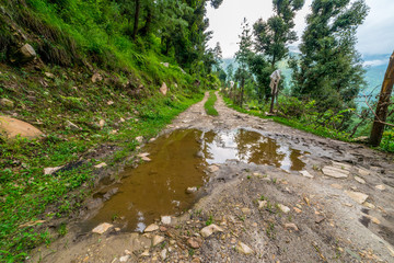 Muddy road leading into the distant rural landscape with plants