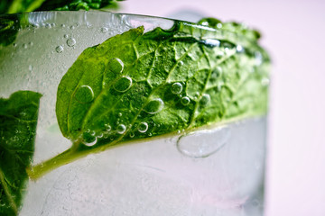  mojito, texture, mint, condensate, glass, soft drink