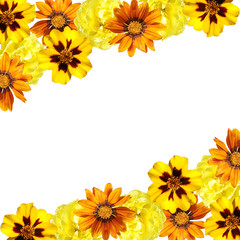 Beautiful floral background of tulips, marigolds and gazania 