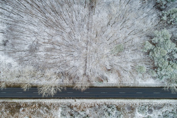 road with snowy forest