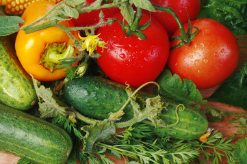 Tomatoes, cucumbers and peppers with leaves and flowers
