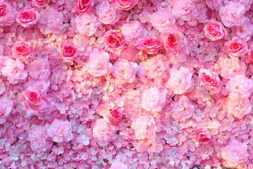 Rose pink for background