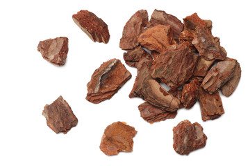 Tree bark pieces isolated on white background. top view