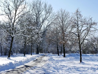 Winterlandschaft