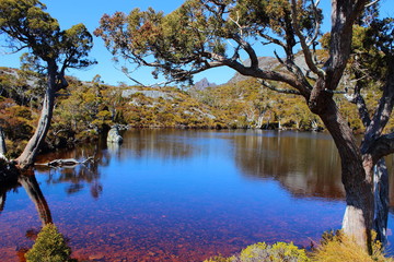 Obraz premium Cradle Mountain National Park - Tasmania