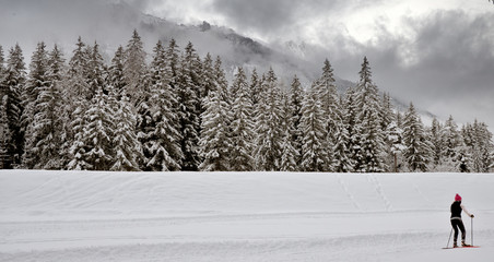 A lone Cross country skier glides across a snow covered alpine landscape. The trees, mountains and ground are covered in heavy fresh snow as the mountains and mists and clouds are in the background.