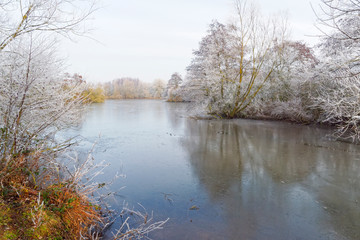 Down the length of a shallow, frozen lake fringed with frost covered trees