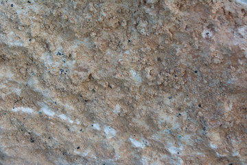 Close Up of texture of limestone. natural background