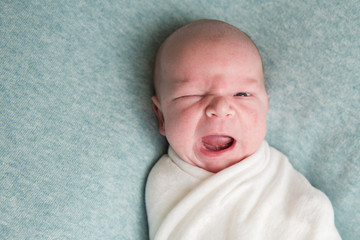 Newborn babe demands something screams with her mouth open. Newborn care concept
