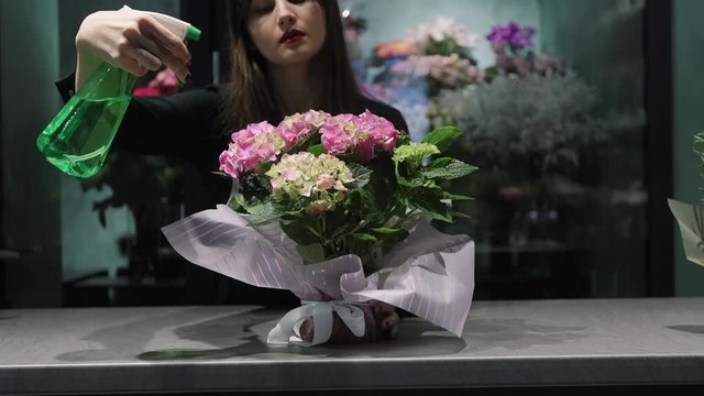 Professional woman florist spray with water flowers in pot in flower shop.